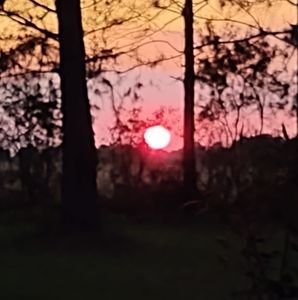 Meet your Posher, Gerald